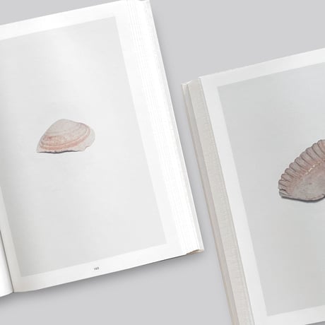 Nina Canell / Shell Reader