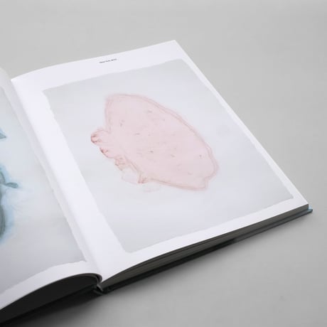 Sarah Bildstein / 100 Spectres