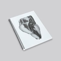 Sofia Masini / The body is a revelation as is landscape