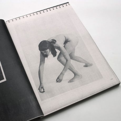 Supporting Material / Angus & Dieter