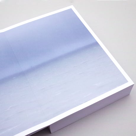Bruno van den Elshout / New Horizons