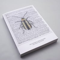 Thomas Manneke / Zillion | POST