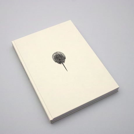Lynn Alleva Lilley / Deep Time