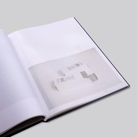 Ane Mette Hol / Drawing Literature