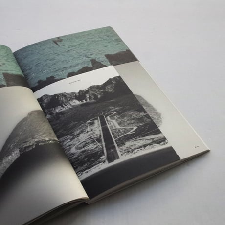 Adam Broomberg & Oliver Chanarin / DODO