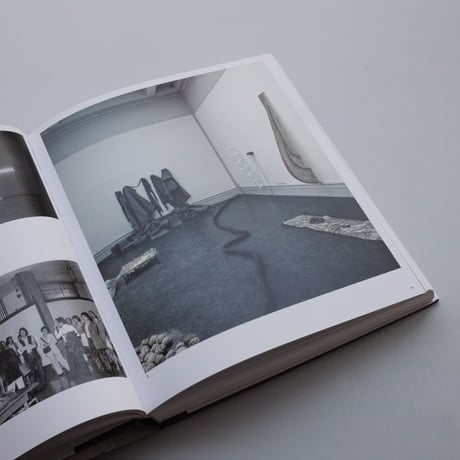 Bruce Neumann / Disappearing Acts