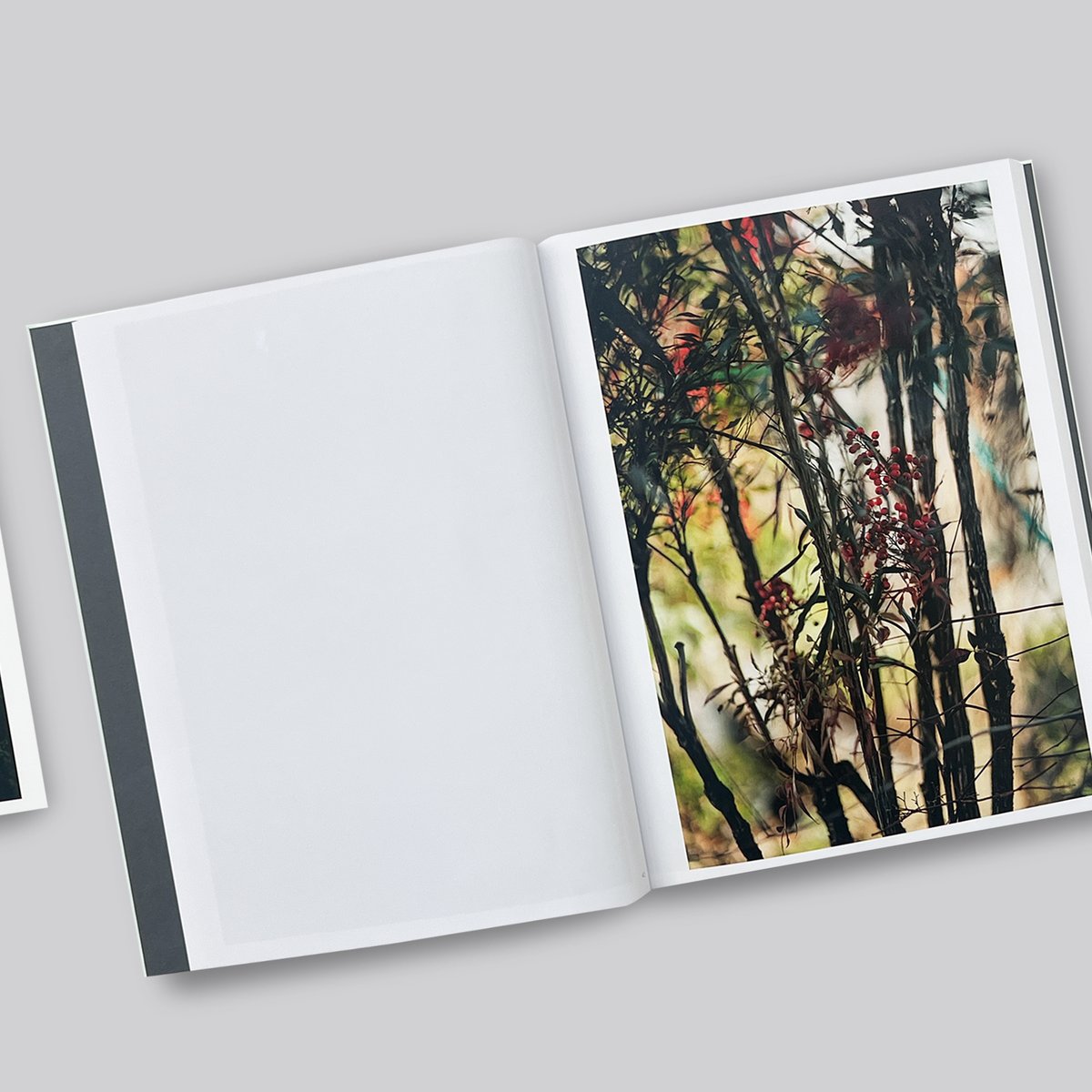 Terri Weifenbach / Cloud Physics | POST