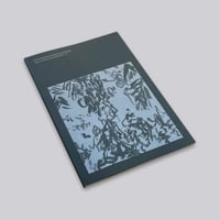 Irene Kopelman / A Matter of Framing. Notes on Representation Vol. 13