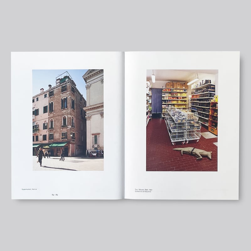 Mark Manders / Room with Broken Sentence | POST