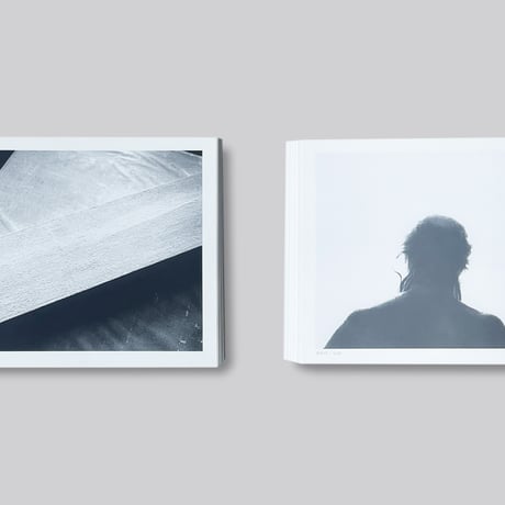 Herman de vries / A Random Sample Of The Seeings Of My Beings