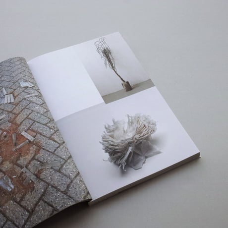 Sara Bjarland / Groundwork