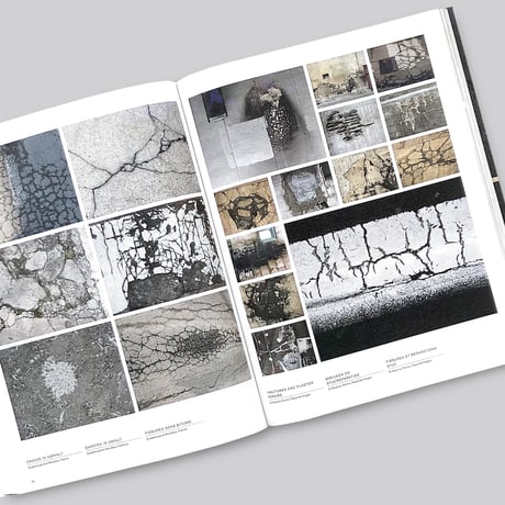 Lizan Freijsen / The Living Surface - An Alternative Biology Book On Stains