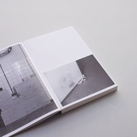 Annegien van Doorn / In Passing