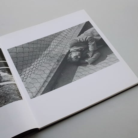 Lee Friedlander / Chain Link