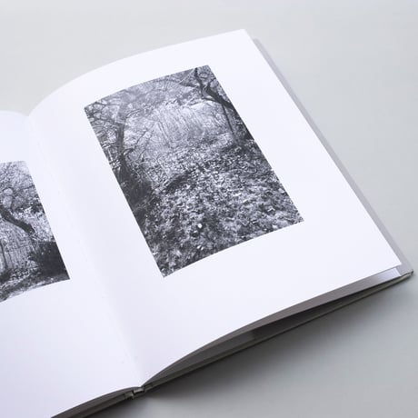 Robert Adams / Standing Still