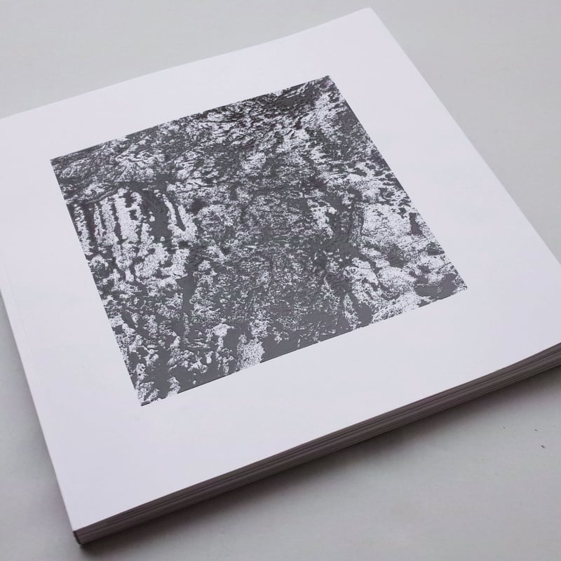 洋書 Michel Comte / Light Special Edition 洋書 Michel Comte / Light Special Edition Michel Comte / Light