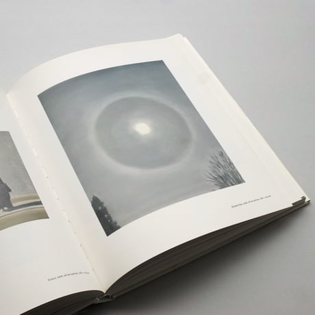 Luc Tuymans / Is It Safe?
