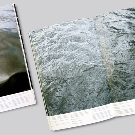 Roni Horn / Another Water