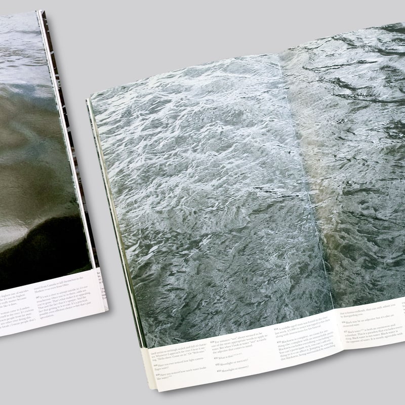 Roni Horn / Another Water | POST