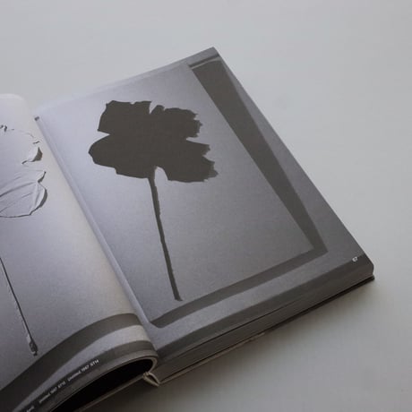 JANNIS KOUNELLIS