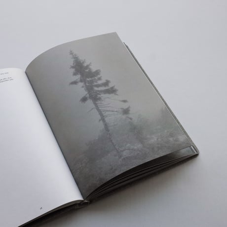 Nicolai Howalt  / OLD TJIKKO