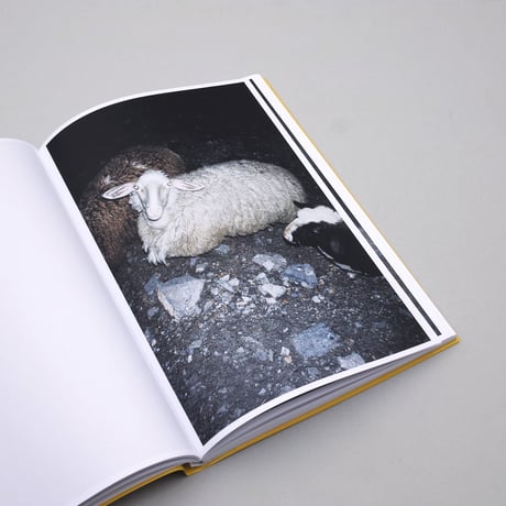 Simon Brugner / The Arsenic Eaters