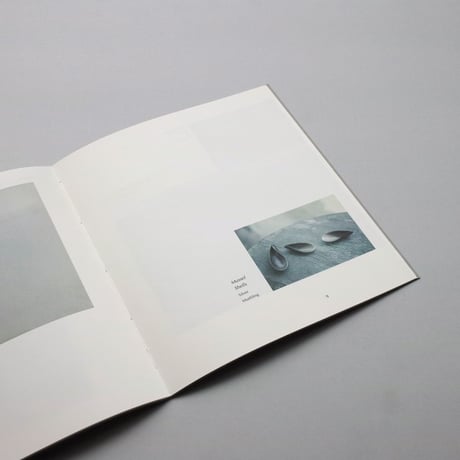 Mats Gustafson, Ted Muehling / Drawn by the Sea