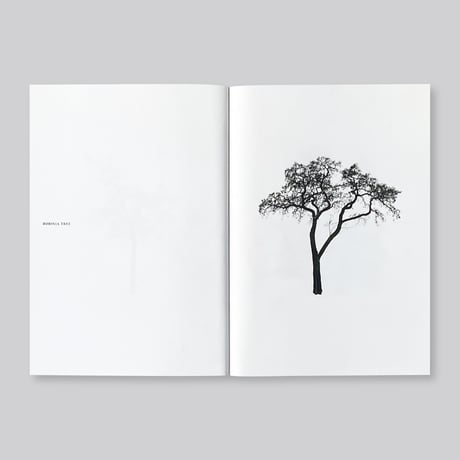 Todd Schulz / Five Leaves Left