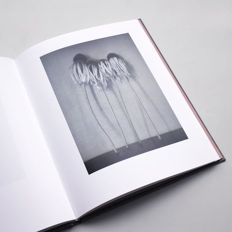 Inger Krauss / 39 Bilder