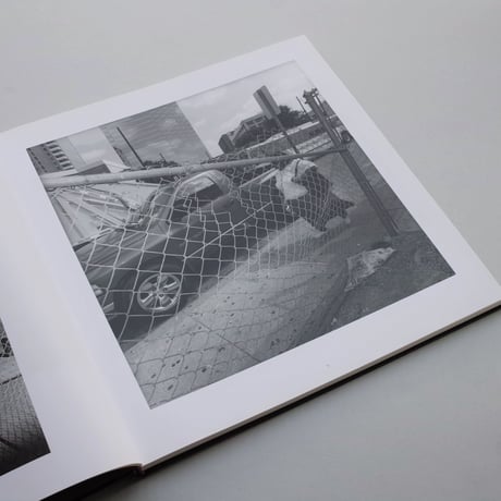 Lee Friedlander / Chain Link