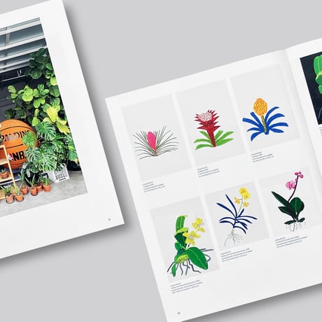Jonas Wood / Plants and Animals