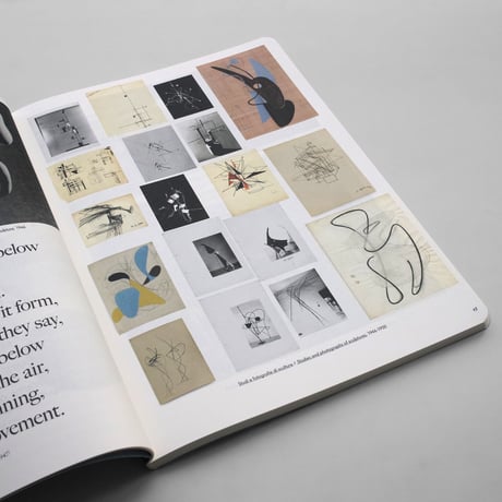 Ettore Sottsass / There is a Planet : Exhibition Catalogue Triennale Design Museum