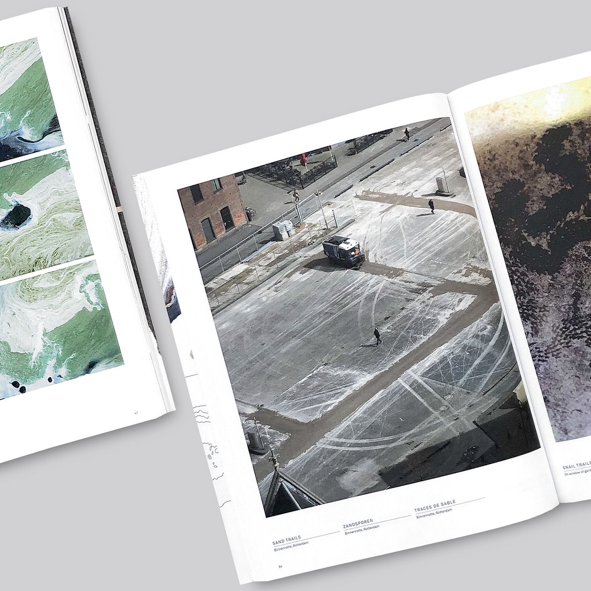 The living surface Kizan freijsen作品集 Lizan Freijsen / The