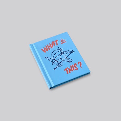 Tamara Shopsin / What Is This?