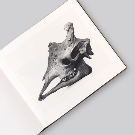 Irving Penn / Cranium Architecture