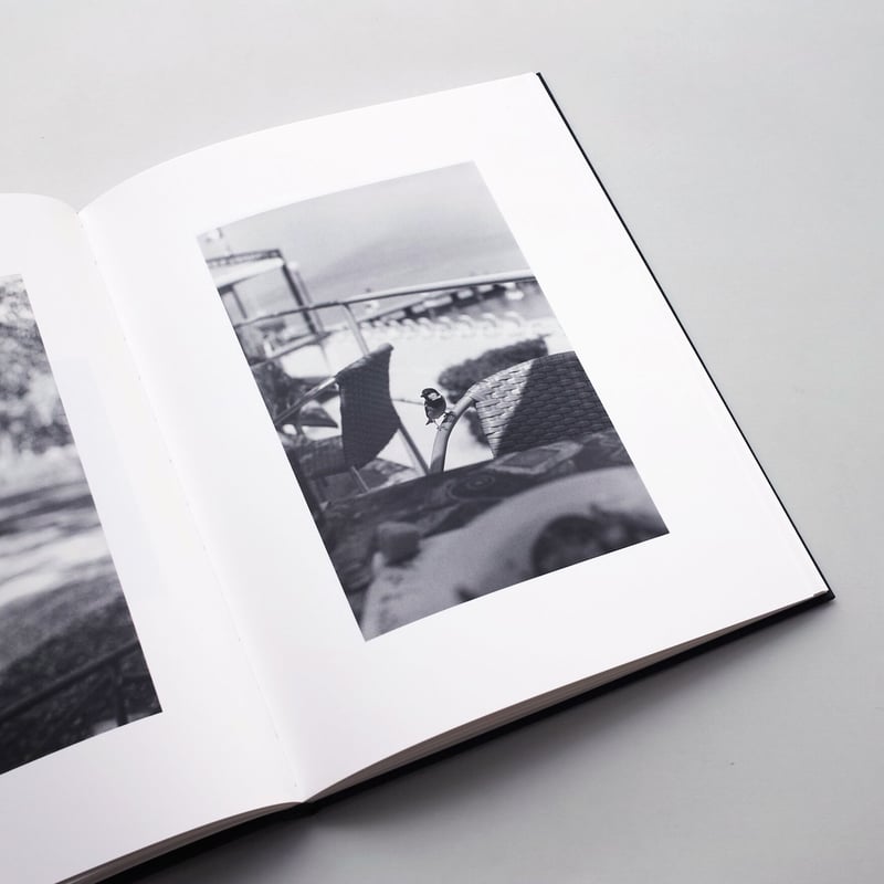 Bernard Plossu / Des Oiseaux | POST