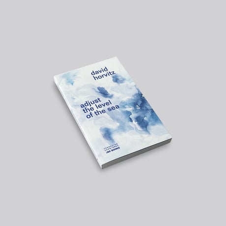 【Signed】David Horvitz / Adjust the level of the sea