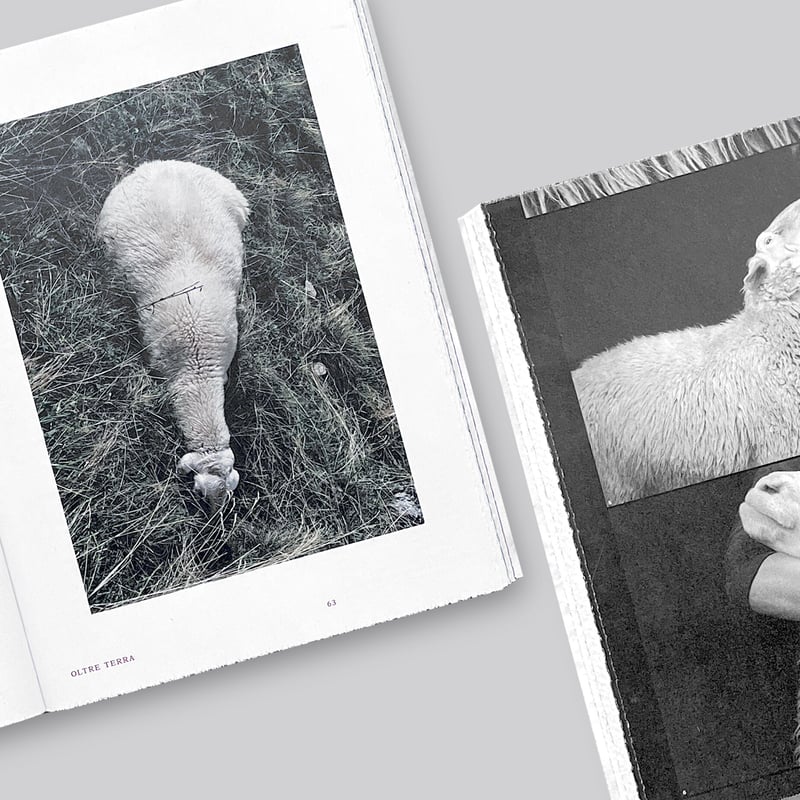 Formafantasma / Oltre Terra | POST