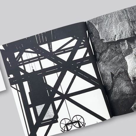 The Furniture of Poul Kjaerholm : Catalogue Raisonne