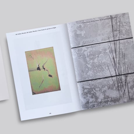 Luca Monterastelli / Pardon Façade