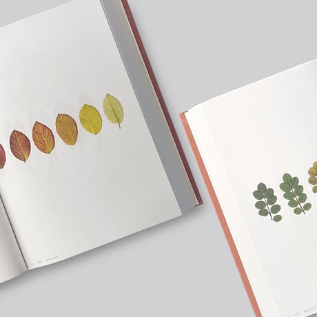 Anne Geene / Book Of Plants