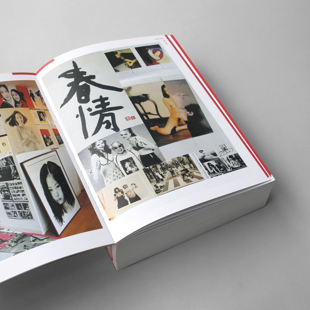 洋書 Hi-Nikki Araki Nobuyoshi Hi-Nikki（Non-Diary Diary） - 荒木 経惟 / Nobuyoshi Araki