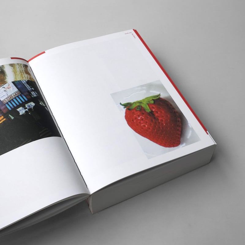 Nobuyoshi Araki: Hi-Nikki (Non-Diary Diary) | POST