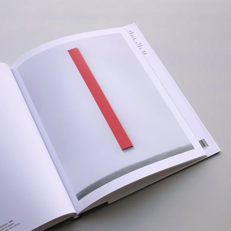 Anne Truitt / Paintings