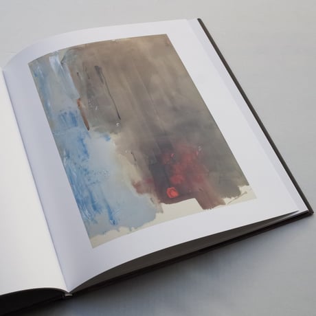 Helen Frankenthaler / Sea Change: A Decade of Paintings, 1974–1983 Catalogue