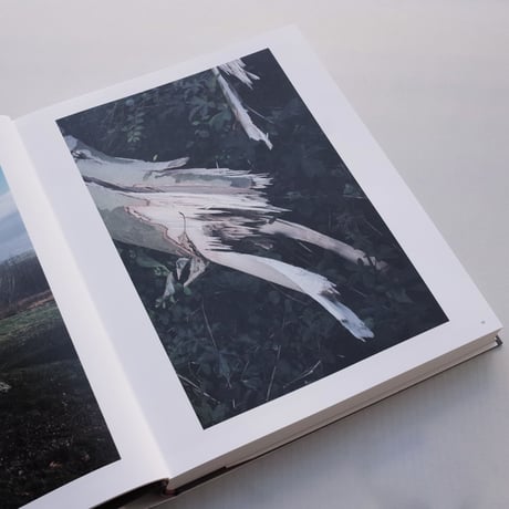 Wolfgang Tillmans
