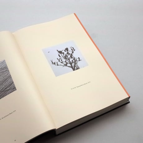 Taryn Simon / Field Guide to Birds of the West Indies