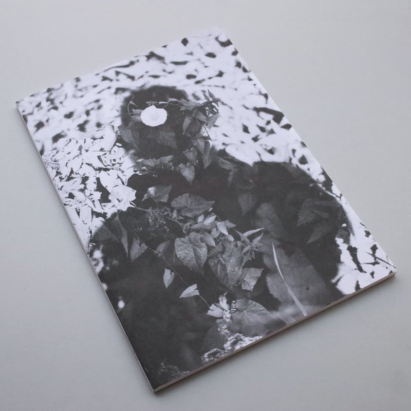 Jochen Lempert / Relacion | POST