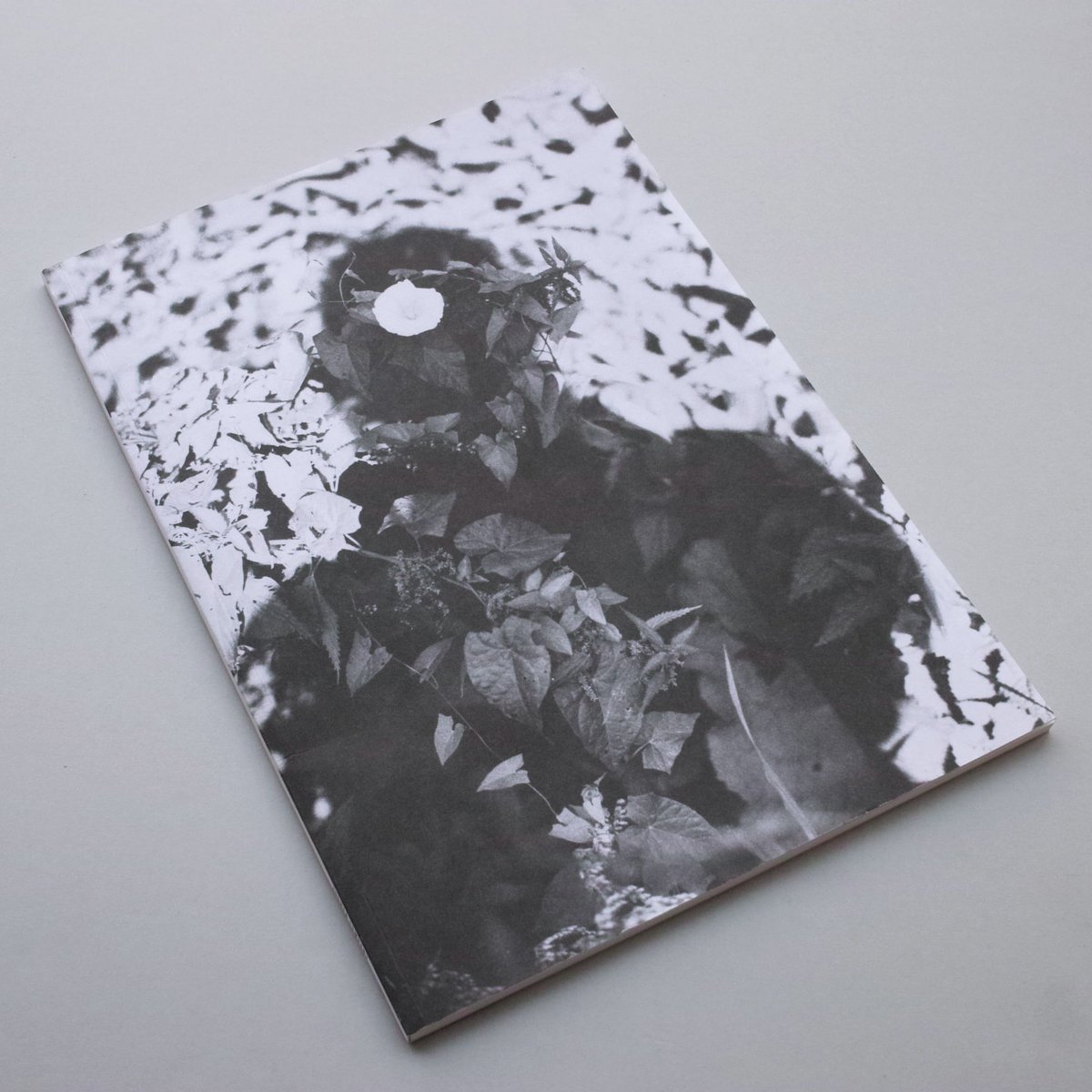 Jochen Lempert / Relacion | POST