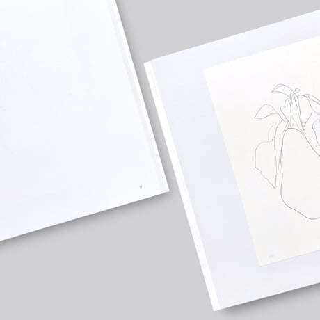 Ellsworth Kelly / Plant Lithographs